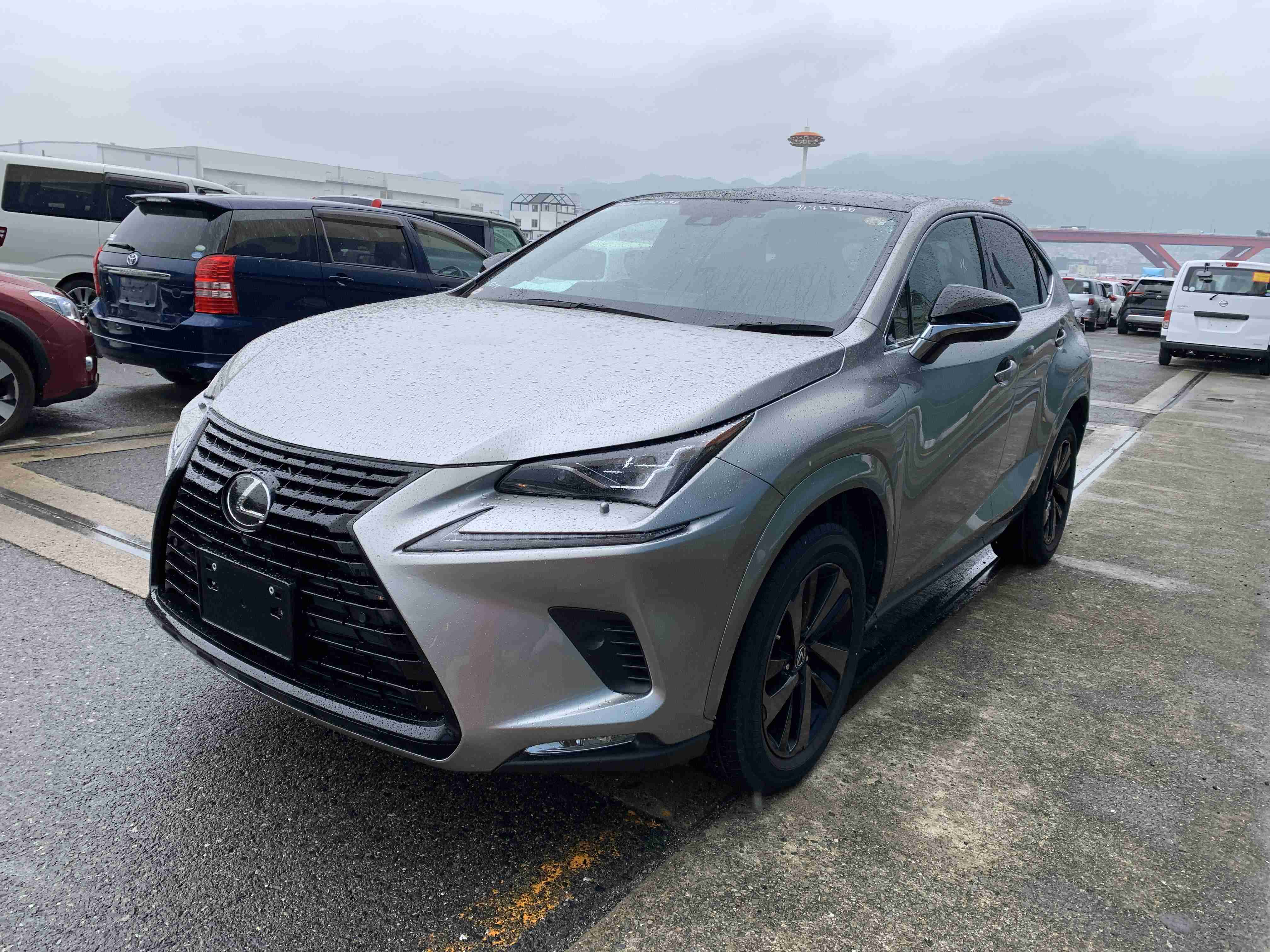 Lexus NX300 2020